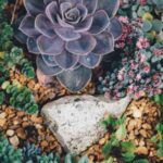 w fit, tags: gärtnerische hobbys gewinnbringende - images.unsplash.com