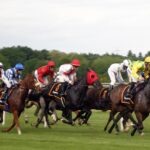 Hoe voorkom je dat je verliezen achterna jaagt bij paardenraces?