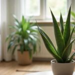 5 Top Houseplants for Easy and Beautiful Indoor Gardening, Concept art for illustrative purpose, tags: müheloser stil: - Monok
