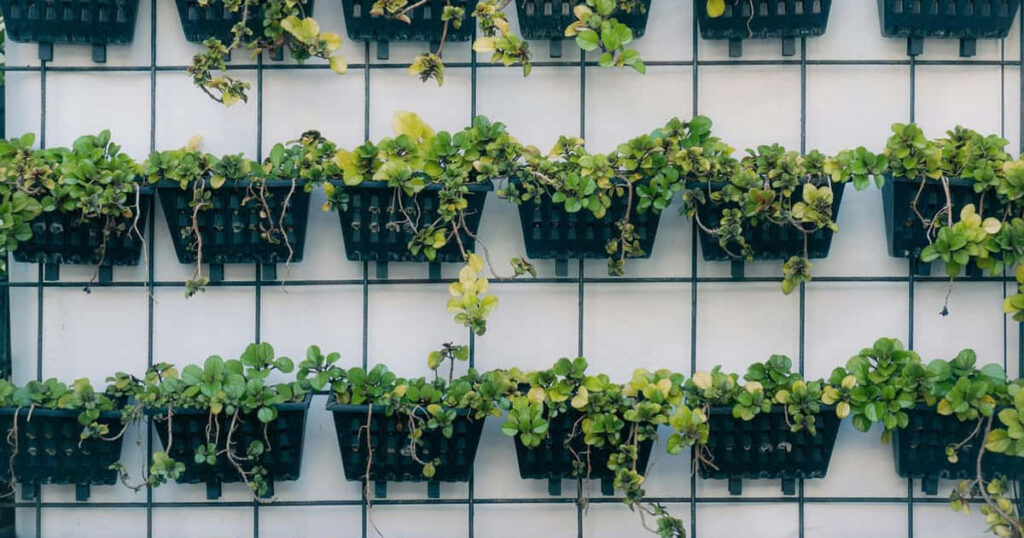 Städtische Räume erblühen durch innovative vertikale Gartenlösungen