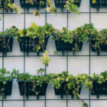 Städtische Räume erblühen durch innovative vertikale Gartenlösungen